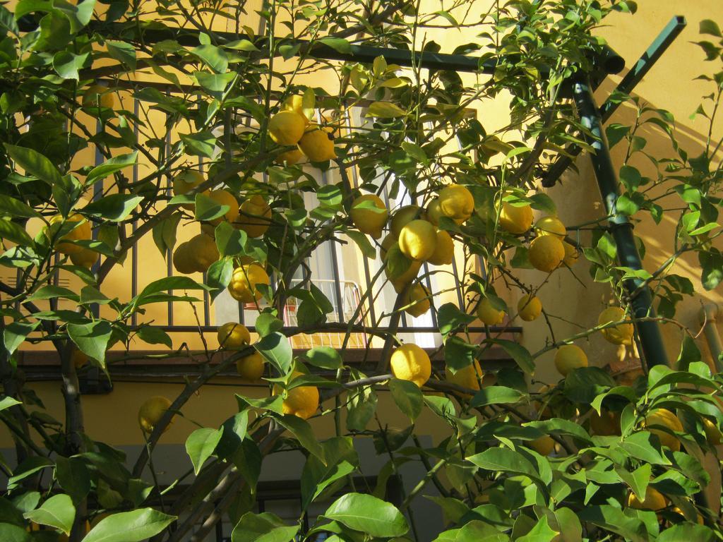 Holiday Home Il Borgo Degli Agrumi Uzzano المظهر الخارجي الصورة