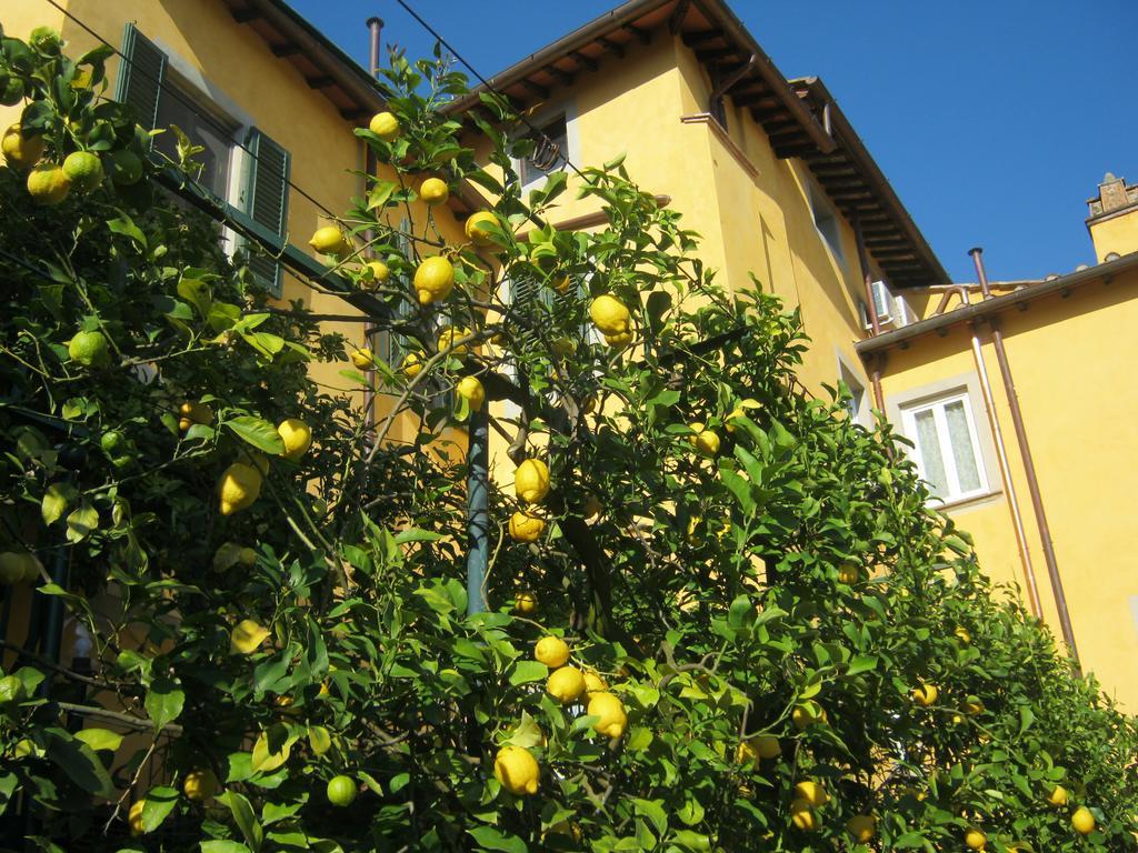 Holiday Home Il Borgo Degli Agrumi Uzzano المظهر الخارجي الصورة